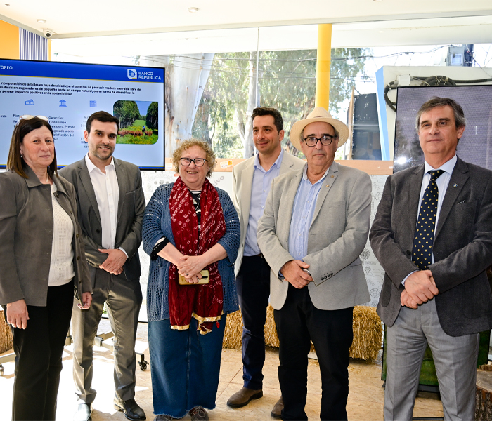 Presentación de Asistencia al Silvopastoreo